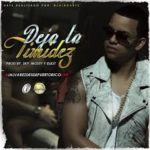 J Alvarez - Deja la Timidez MP3
